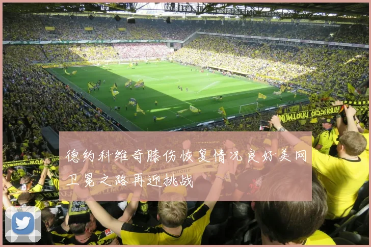 德约科维奇膝伤恢复情况良好美网卫冕之路再迎挑战