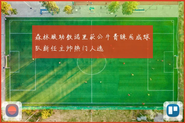 森林狼助教诺里获公牛青睐或成球队新任主帅热门人选
